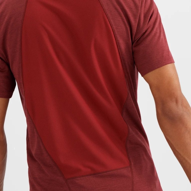 Dark Red / Navy Salomon Outline Short Sleeve Men's T-Shirts | PH 37065C